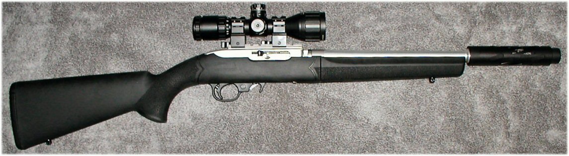 just bought a new 10 22 take down scope opinions rimfirecentral ruger 10 22 takedown scope that works with bag